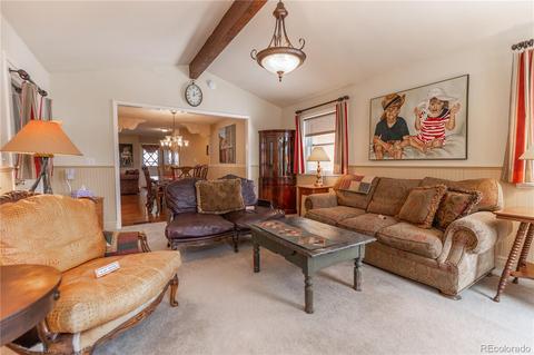 281 Yew Ln, Bailey, CO 80421 photo 18