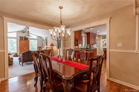 281 Yew Ln, Bailey, CO 80421 photo 10