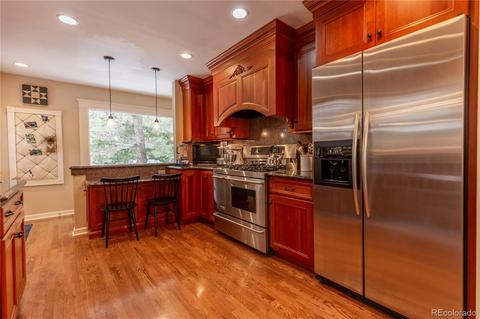281 Yew Ln, Bailey, CO 80421 photo 8