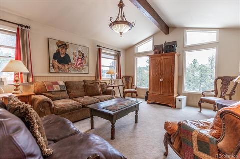 281 Yew Ln, Bailey, CO 80421 photo 4