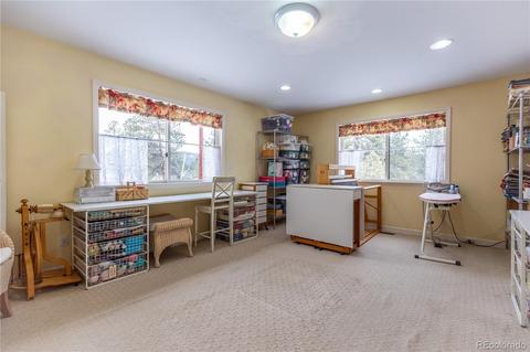 281 Yew Ln, Bailey, CO 80421 photo 20