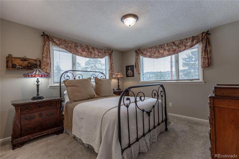 281 Yew Ln, Bailey, CO 80421 photo 12