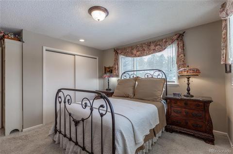 281 Yew Ln, Bailey, CO 80421 photo 13