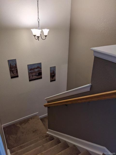 12751 N Ivanhoe St, Thornton, CO 80602 photo 21