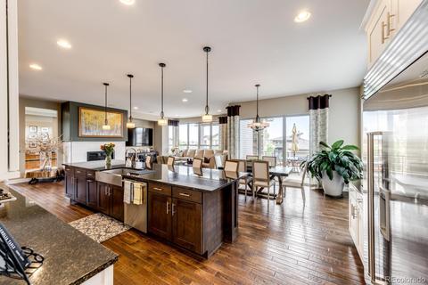 9355 Winter Sky Ct, Lone Tree, CO 80124 photo 9