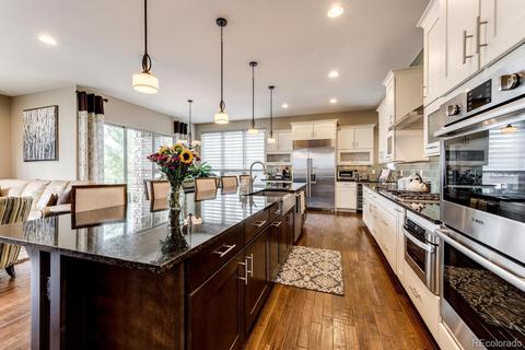 9355 Winter Sky Ct, Lone Tree, CO 80124 photo 14