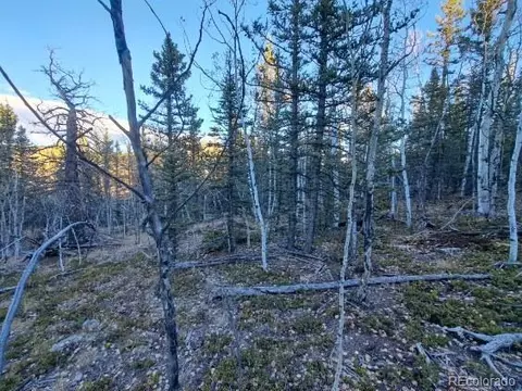 00 Haida Ln, Como, CO 80432 photo 9
