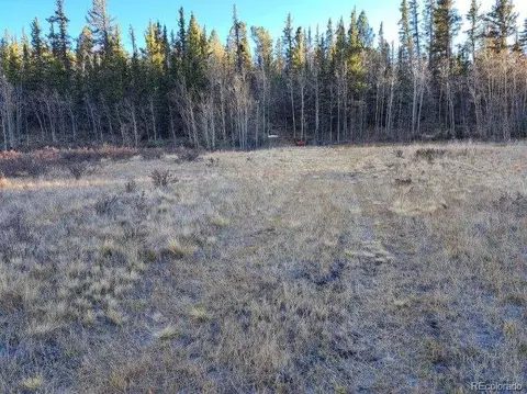 00 Haida Ln, Como, CO 80432 photo 3