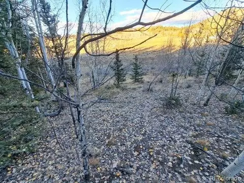 00 Haida Ln, Como, CO 80432 photo 8