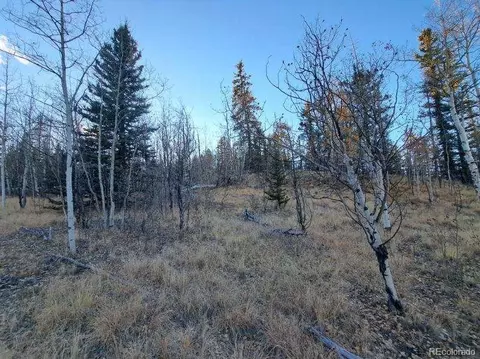 00 Haida Ln, Como, CO 80432 photo 17