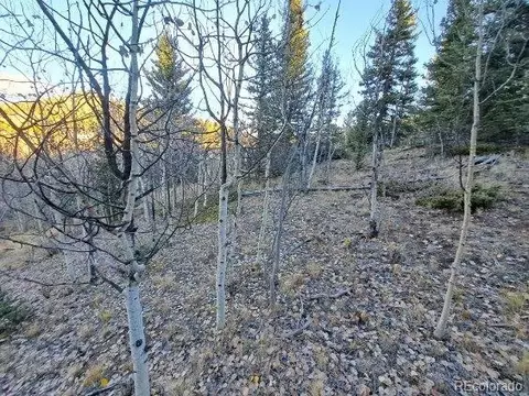 00 Haida Ln, Como, CO 80432 photo 5