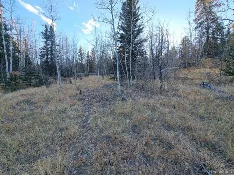 00 Haida Ln, Como, CO 80432 photo 18