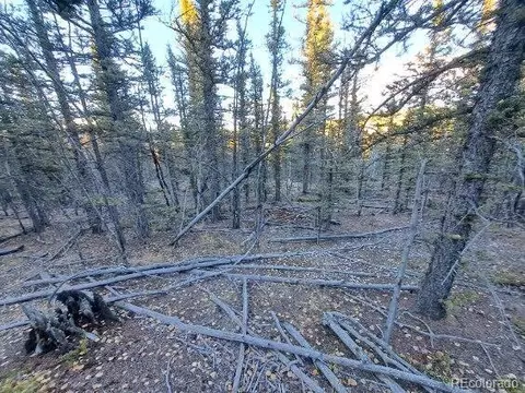 00 Haida Ln, Como, CO 80432 photo 15