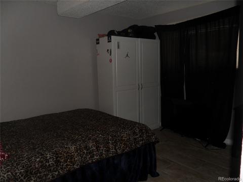 5502 Sable St, Denver, CO 80239 photo 24