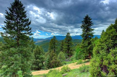 789 Wisp Creek Dr, Bailey, CO 80421 photo 5