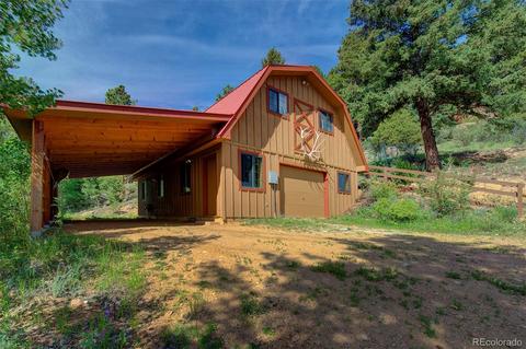 789 Wisp Creek Dr, Bailey, CO 80421 photo 4
