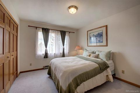 789 Wisp Creek Dr, Bailey, CO 80421 photo 19
