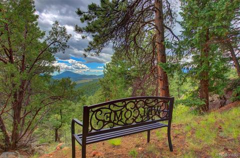 789 Wisp Creek Dr, Bailey, CO 80421 photo 1