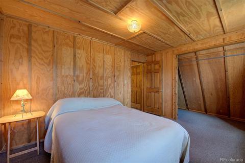 789 Wisp Creek Dr, Bailey, CO 80421 photo 23