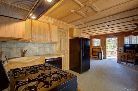 789 Wisp Creek Dr, Bailey, CO 80421 photo 22