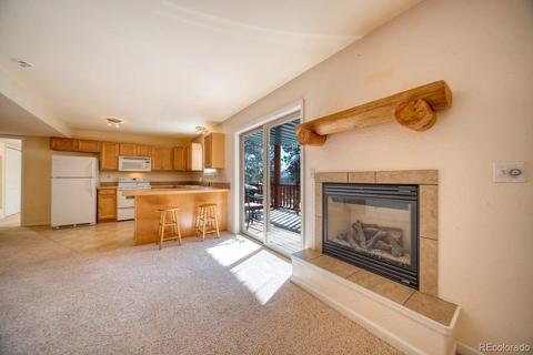 303 Virginia Rd #D, Bailey, CO 80421 photo 9