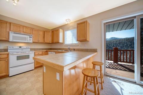 303 Virginia Rd #D, Bailey, CO 80421 photo 4
