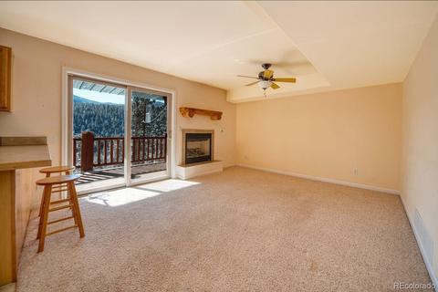303 Virginia Rd #D, Bailey, CO 80421 photo 7