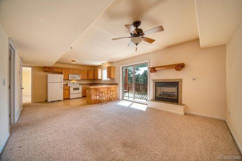 303 Virginia Rd #D, Bailey, CO 80421 photo 8