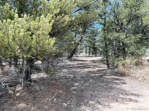Tbd, Cotopaxi, CO 81223 photo 10