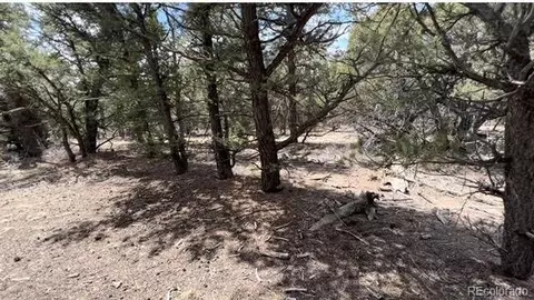 Tbd, Cotopaxi, CO 81223 photo 5