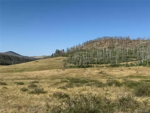 lot427 Kettleson Pl, Fort Garland, CO 81133