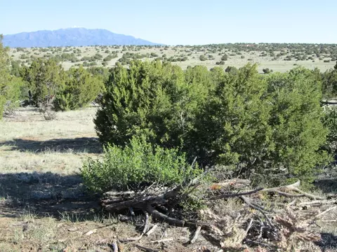 Lot 342 Rio Cucharas, Walsenburg, CO 81089