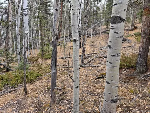 210 Tepee Trl, Como, CO 80432 photo 6