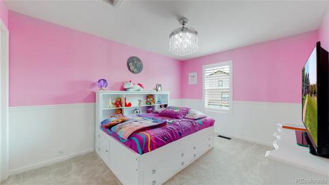 3040 Trinity Loop, Broomfield, CO 80023 photo 18