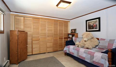 16697 Jefferson St, Pine, CO 80470 photo 14