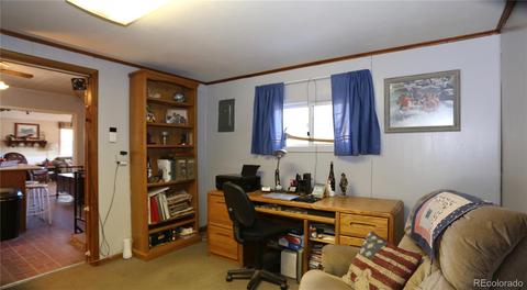 16697 Jefferson St, Pine, CO 80470 photo 16