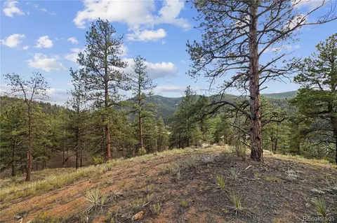 Brynmawr Road, Pine, CO 80470 photo 33