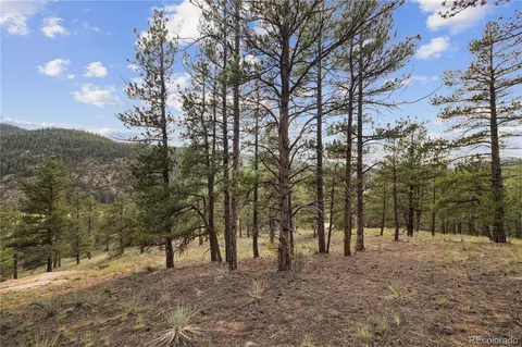 Brynmawr Road, Pine, CO 80470 photo 28