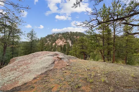 Brynmawr Road, Pine, CO 80470 photo 34
