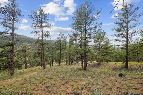 Brynmawr Road, Pine, CO 80470 photo 27
