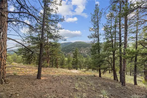 Brynmawr Road, Pine, CO 80470 photo 29
