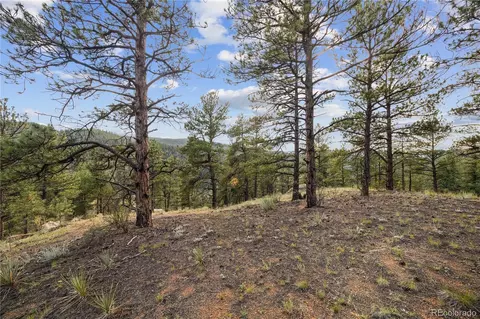 Brynmawr Road, Pine, CO 80470 photo 32
