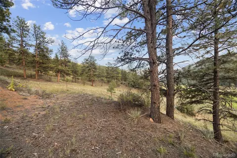 Brynmawr Road, Pine, CO 80470 photo 23