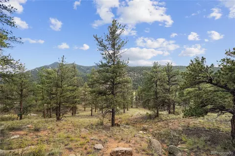 Brynmawr Road, Pine, CO 80470 photo 25