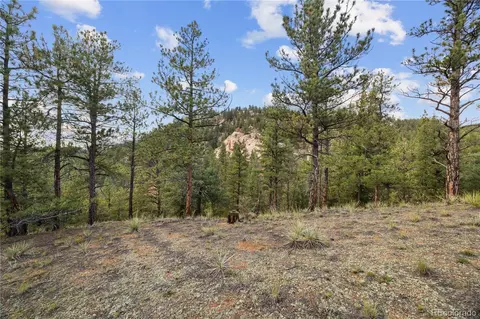 Brynmawr Road, Pine, CO 80470 photo 30