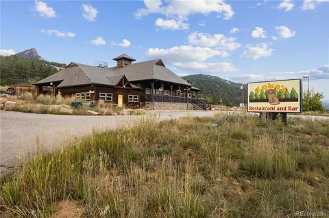 Brynmawr Road, Pine, CO 80470 photo 18
