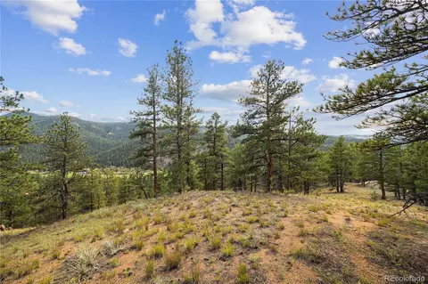 Brynmawr Road, Pine, CO 80470 photo 36