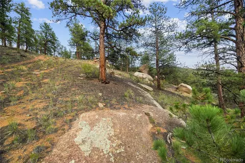 Brynmawr Road, Pine, CO 80470 photo 24