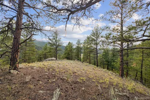 Brynmawr Road, Pine, CO 80470 photo 31