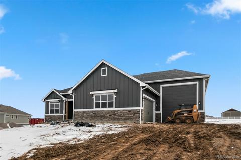 11032 E 162nd Pl, Brighton, CO 80602 photo 1